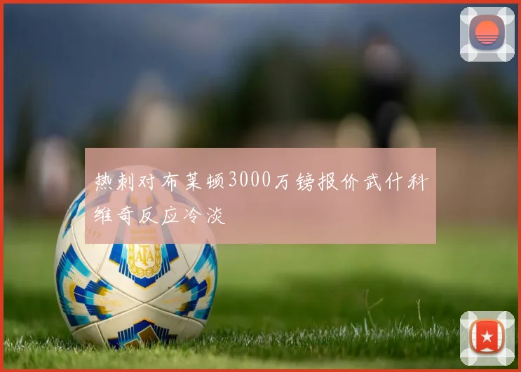 热刺对布莱顿3000万镑报价武什科维奇反应冷淡
